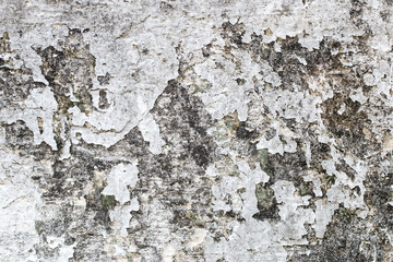 white concrete wall texture