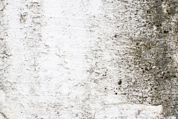 white concrete wall texture