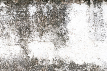 Fototapeta premium white concrete wall texture