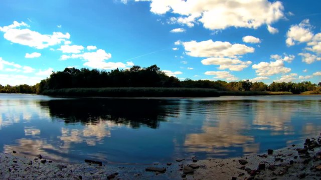 Cinemagraph. Summer nature forest lake landscape, t