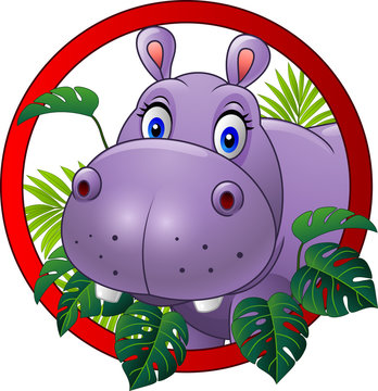 Cartoon hippo mascot