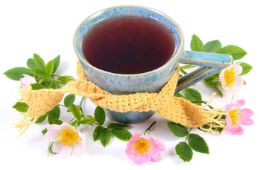 Cup of tea with wild rose flower on white background