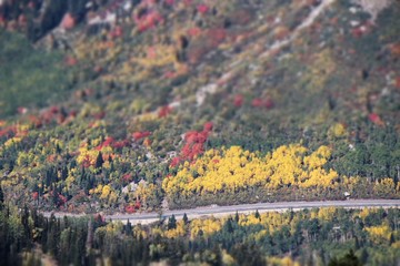 beautiful aerial view of a canyon in fall