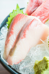 Raw fresh sashimi