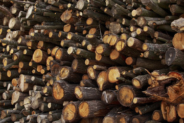 the chopped firewood