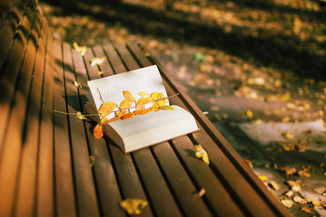Book on the bench in autumn park
