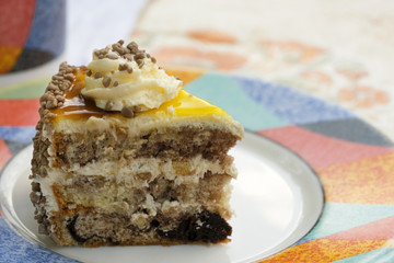 Delicious piece of cake on a plate