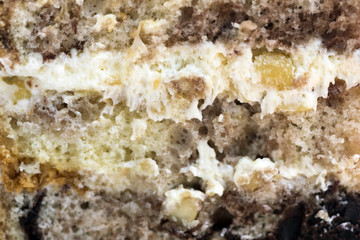Fototapeta premium Biscuit cake, background, close-up