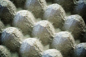Empty cardboard package for eggs, background. Toned