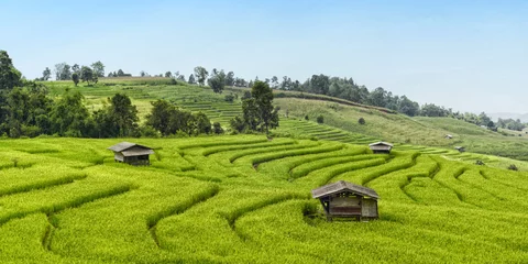 Fotobehang rice terrace4 © Racharit Kitbamrung