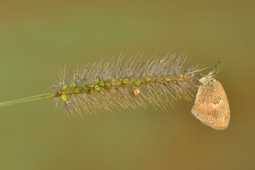 Ancora un po' e poi volo via