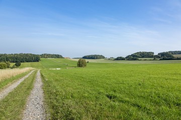 Cultivated Landscape with road