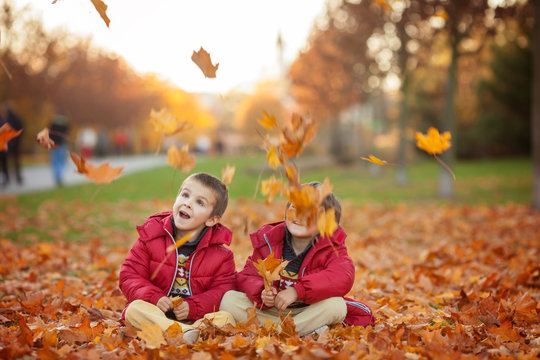 Two kids, boy brothers, playing with leaves in autumn park