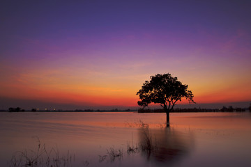 Fototapeta na wymiar Twilight sunset sky reflect on the water with silhouette tree landscape