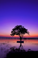 Fototapeta na wymiar Silhouette twilight sunset sky with tree in water reflect landscape