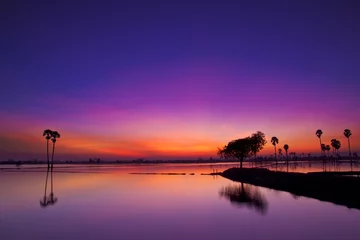 Foto op Plexiglas Pruim De zonsonderganghemel van de silhouetschemering reflecteert op het water met palmlandschap