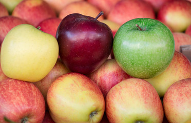 Four different types of ripe apples.