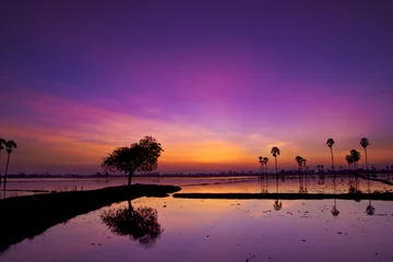 Rolgordijnen De zonsonderganghemel van de silhouetschemering reflecteert op het water met palmlandschap © Sync