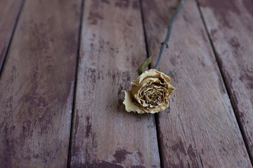 Dry white tea rose on a wood surface