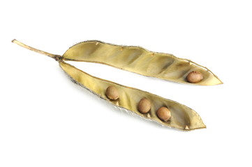 Seed from a lupine plant isolated on white background © hhelene