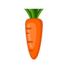 Carrot on a white background