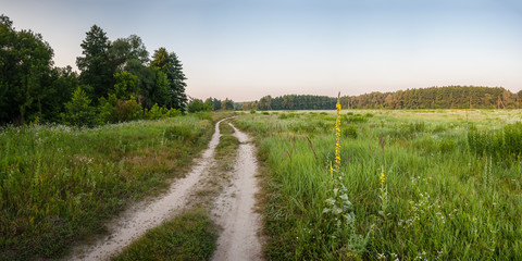 Summer Landscape with Road