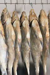 Fototapeta premium Dried fishes on the hooks, background