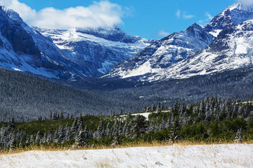 Fototapeta premium Winter in Glacier Park
