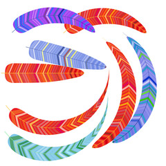 Set of decorative bright feathers for your design. vector