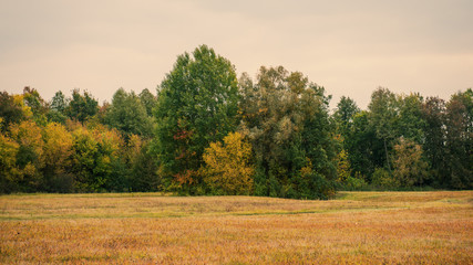 Fototapeta premium rural landscape