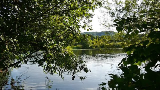 Flussufer an der Ruhr in Bochum