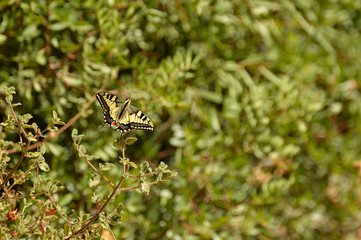 paisajes de marismas y aves en las salinas 