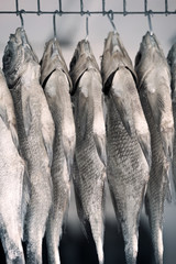 Dried fishes on the hooks, background