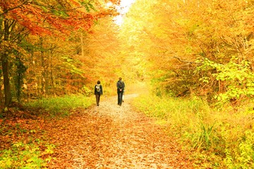 Obraz premium Hikers in fall landscape