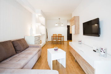 Modern living room interior