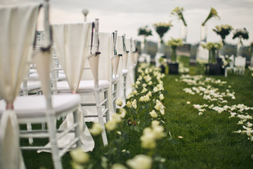 White roses put in the lawn stand behind white chairs