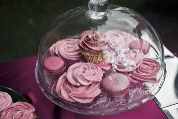 Glass cover stands over the plate with violet kisses and cupcake