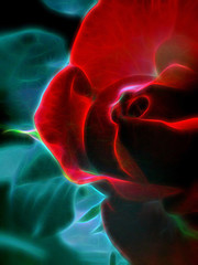 Red Rose / neon light photo effect  