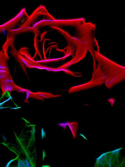Red Rose / neon light photo effect  