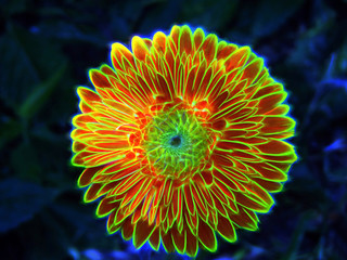 Naklejka na ściany i meble Flower / neon light photo effect 