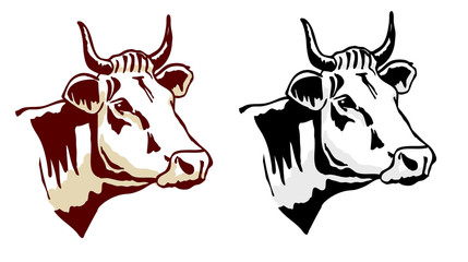 Cow head vector illustration. Two coloring tones.