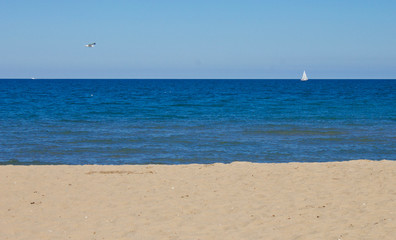 Seagull and sailboat