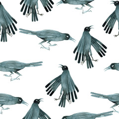 series of patterns of crows
watercolors