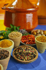 Collection of different spices in old clay bowls in colorful oriental style