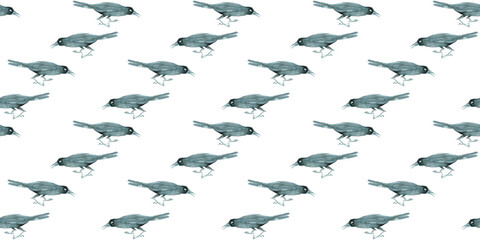 series of patterns of crows
watercolors