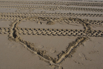 Tracks on the beach