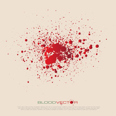 vector blood splatter isolated,vector design