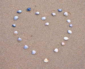 Fototapeta na wymiar Sea shells arranged in a heart shape