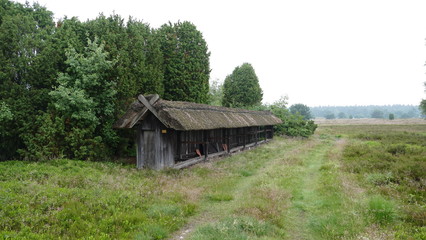 Fototapeta na wymiar Lüneburger Heide, Bienenstand