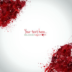 Blood splatter isolated on white background, vector design